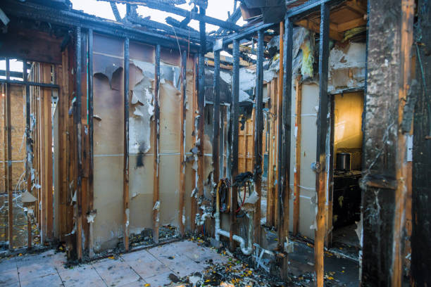 Professional Fire Damage Repair technician working in Hyattsville, MD